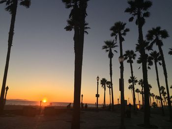 Silhouette palm trees on beach against sky during sunset