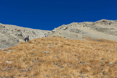 People walking on land against clear blue sky
