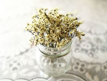 Close-up of flower on table