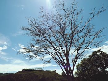 Low angle view of bare tree against blue sky