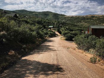 Road amidst plants against sky