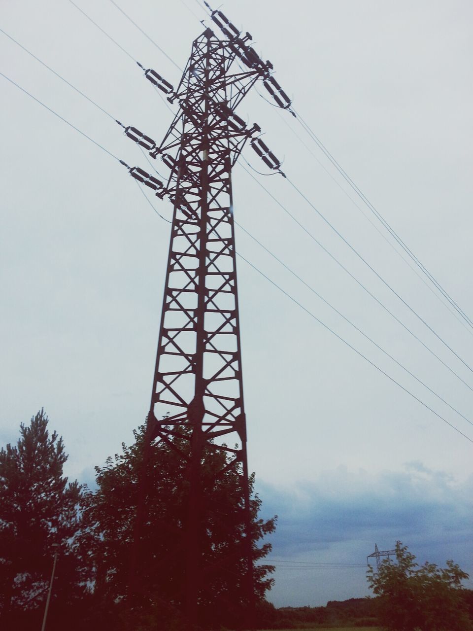 power line, low angle view, electricity pylon, power supply, electricity, connection, tree, cable, sky, fuel and power generation, technology, silhouette, power cable, bare tree, tall - high, outdoors, no people, day, dusk, branch