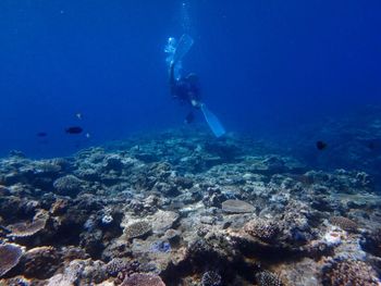 Man scuba diving in sea