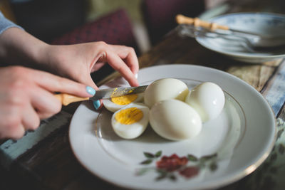 Midsection of person preparing food in plate