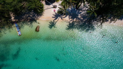 High angle view of swimming in lake