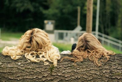 Rear view of girls with long hair resting on log