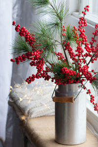 Close-up of red berries on plant