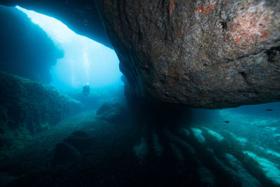 Man swimming in sea