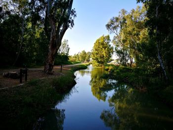 Reflection of trees in lake against sky