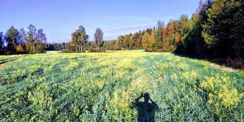 Scenic view of land against sky