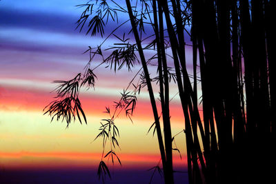 Silhouette plants against romantic sky at sunset