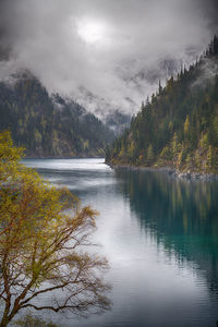 Scenic view of lake in forest against sky