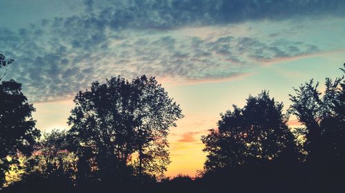 Silhouette of trees against sky at sunset