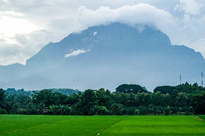 Scenic view of field against sky