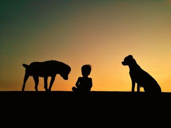 Silhouette boy with dogs sitting against sky during sunset