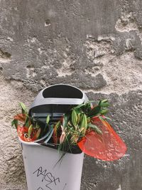 Close-up of potted plant