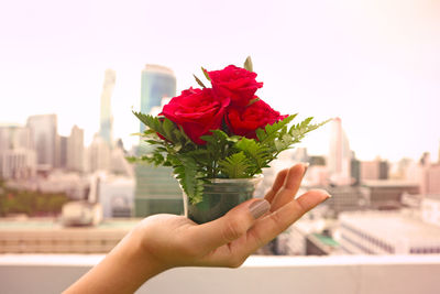 Close-up of hand holding red rose against sky