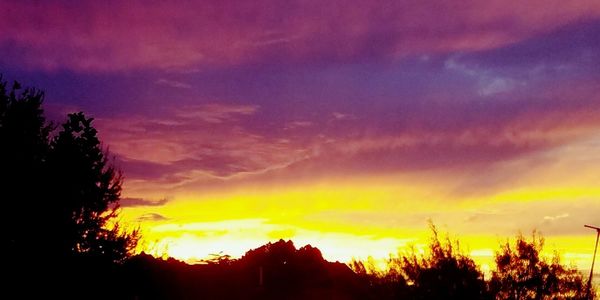 Silhouette trees against dramatic sky during sunset