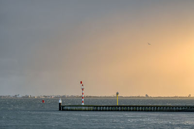 Birds flying over sea against sky