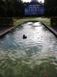 View of ducks swimming in lake