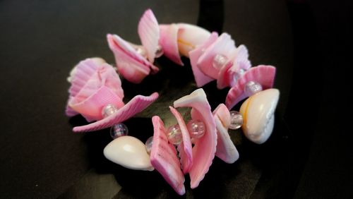 Close-up of pink flowers in plate