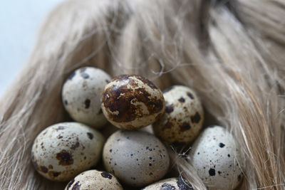 Close-up of chocolate on table