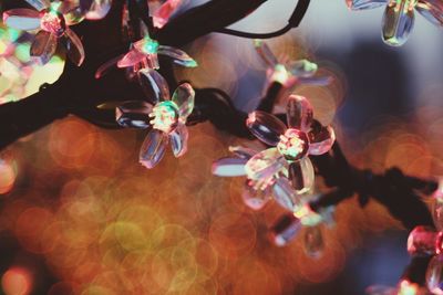 Close-up of multi colored lights hanging at night