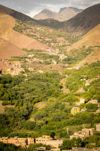 High angle view of agricultural landscape