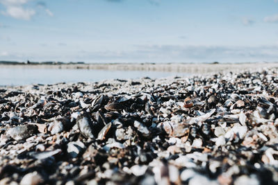 Close-up of pebbles on beach against sky