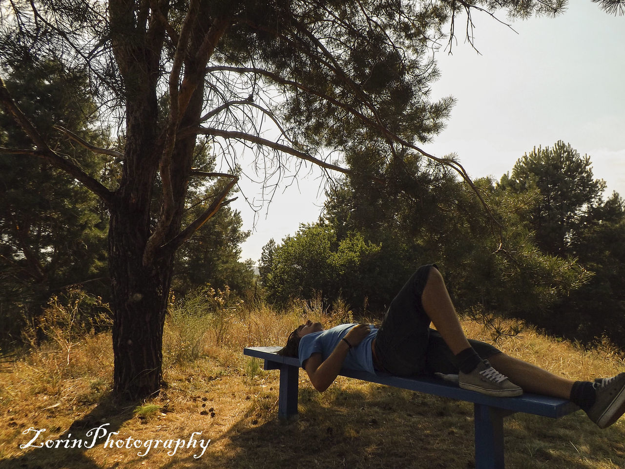 tree, relaxation, nature, low section, sitting, outdoors, leisure activity, one person, beauty in nature, human leg, real people, day, sky, hammock, women, close-up, people