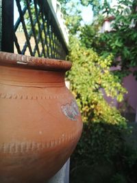 Close-up of tree trunk