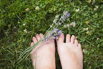 Low section of woman on grass