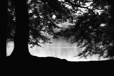 Silhouette trees by lake against sky