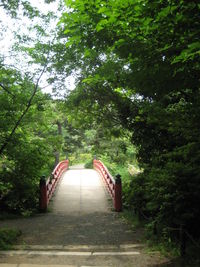 Empty bridge in park