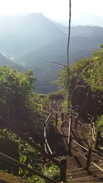 Plants growing on landscape against mountains