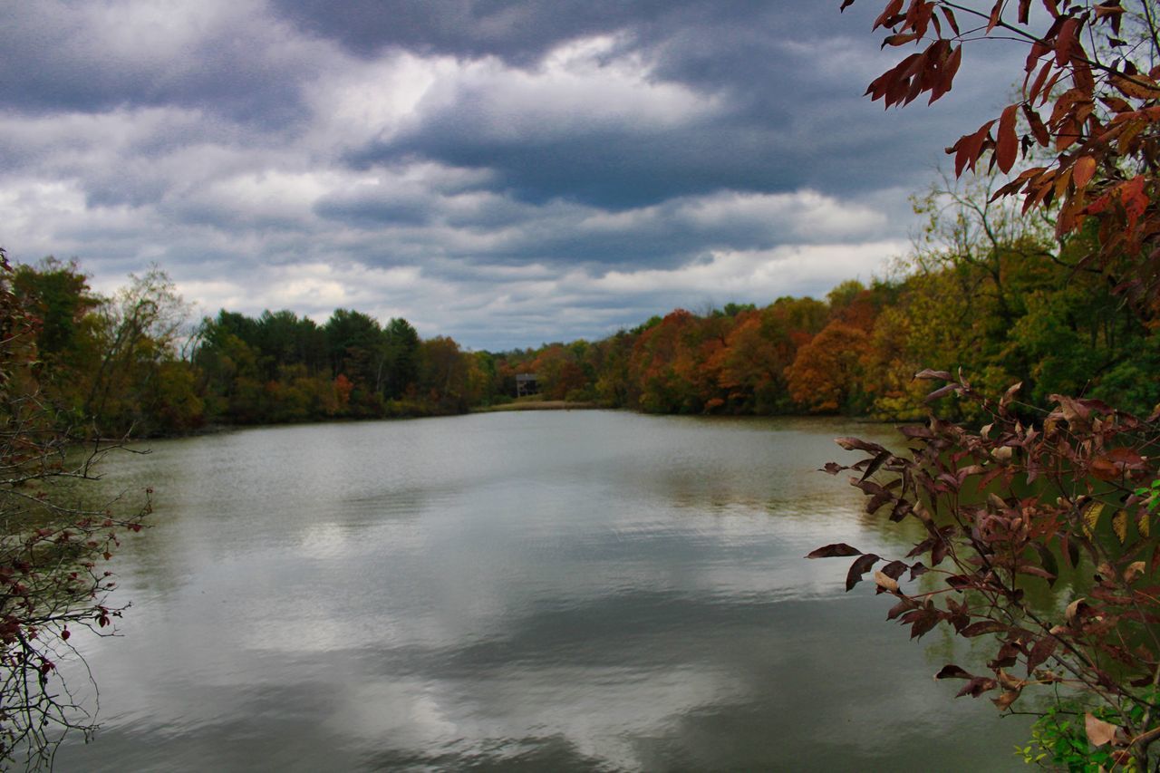 SCENIC VIEW OF LAKE AMIDST TREES AGAINST SKY