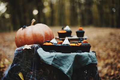 Cupcakes and pumpkin on table during halloween celebration