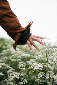 Low section of woman holding flowers