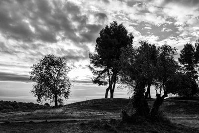 Silhouette trees on field against sky