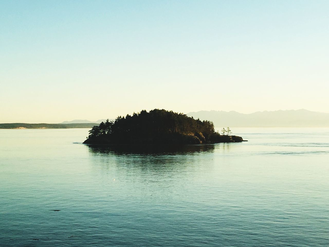 sea, nature, clear sky, silhouette, water, sunset, beauty in nature, scenics, horizon over water, beach, outdoors, tranquility, tranquil scene, sky, no people, day, mammal