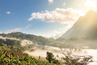 Panoramic view of landscape against sky