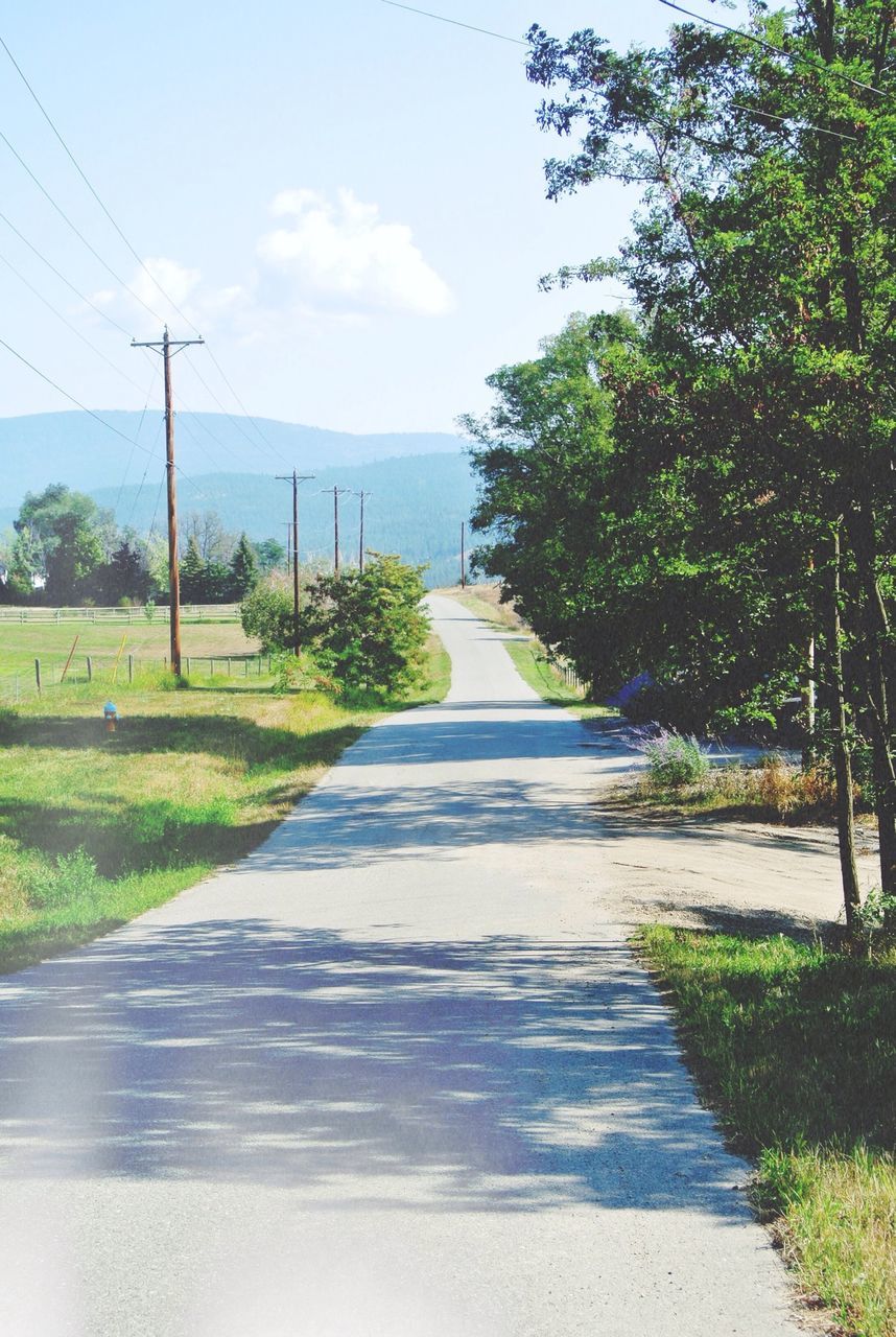 the way forward, tree, grass, sky, road, diminishing perspective, tranquility, vanishing point, tranquil scene, growth, green color, transportation, nature, footpath, empty, plant, long, sunlight, day, street