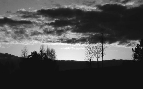 Silhouette trees on field against sky during sunset