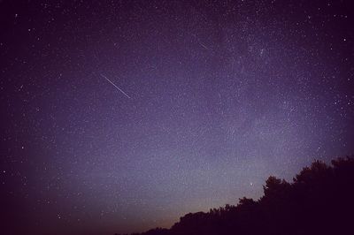 Low angle view of silhouette trees against star field at night