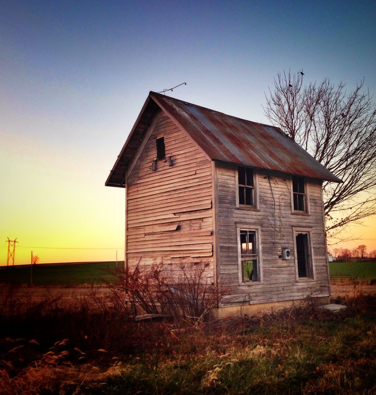architecture, built structure, building exterior, house, clear sky, field, barn, rural scene, grass, sky, bare tree, abandoned, residential structure, old, tree, landscape, outdoors, no people, exterior, sunlight