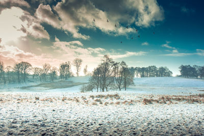 Scenic view of snow covered land against sky