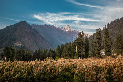 Scenic view of trees and mountains against sky