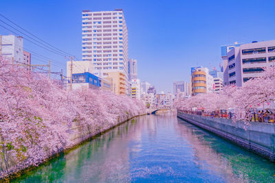 Buildings in city