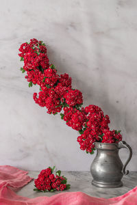 Close-up of red potted plant on table against wall