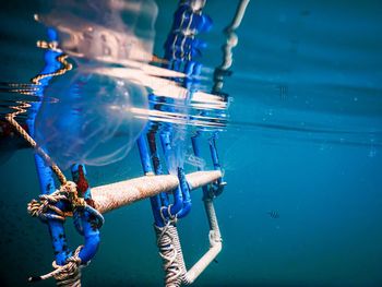 Close-up of jelly fish and boat in sea